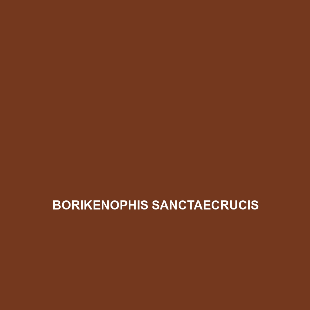 Borikenophis sanctaecrucis