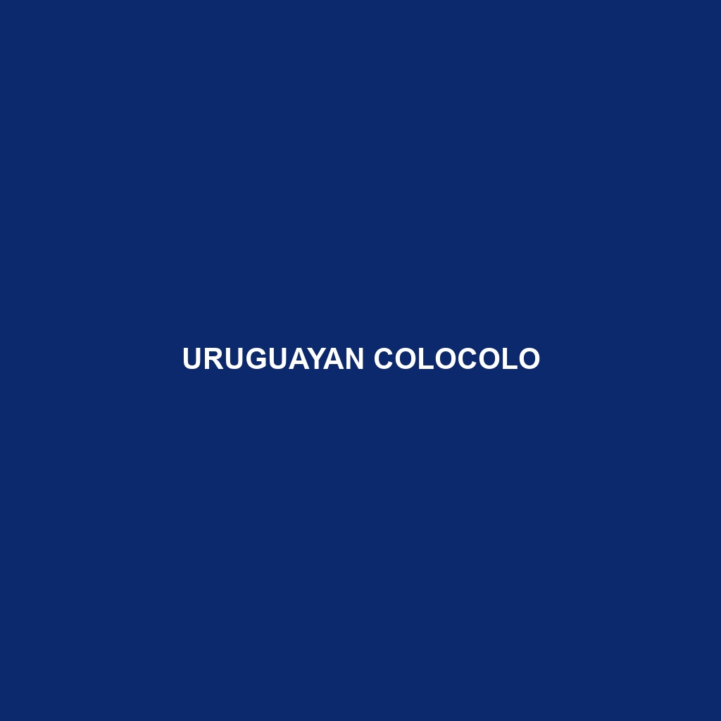 Uruguayan Colocolo