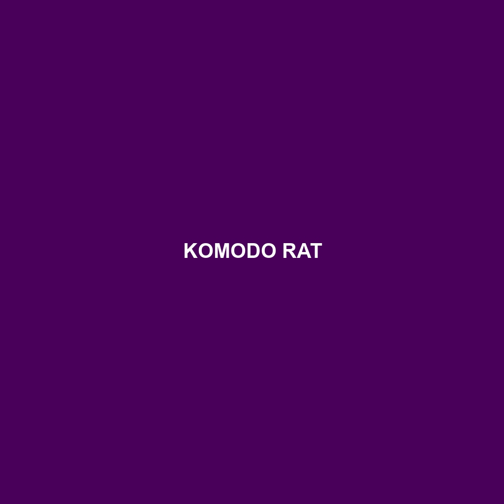 Komodo Rat