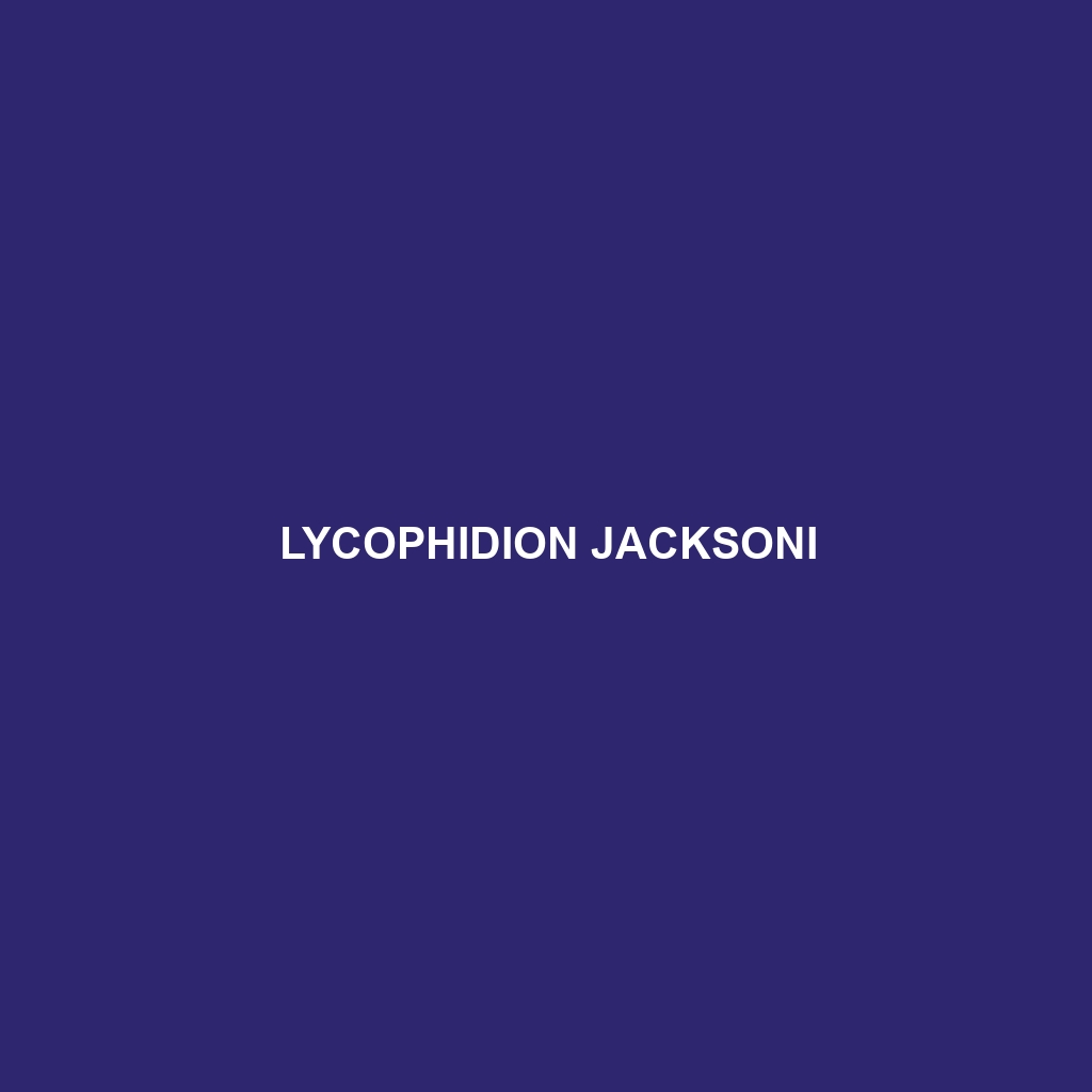 Lycophidion jacksoni