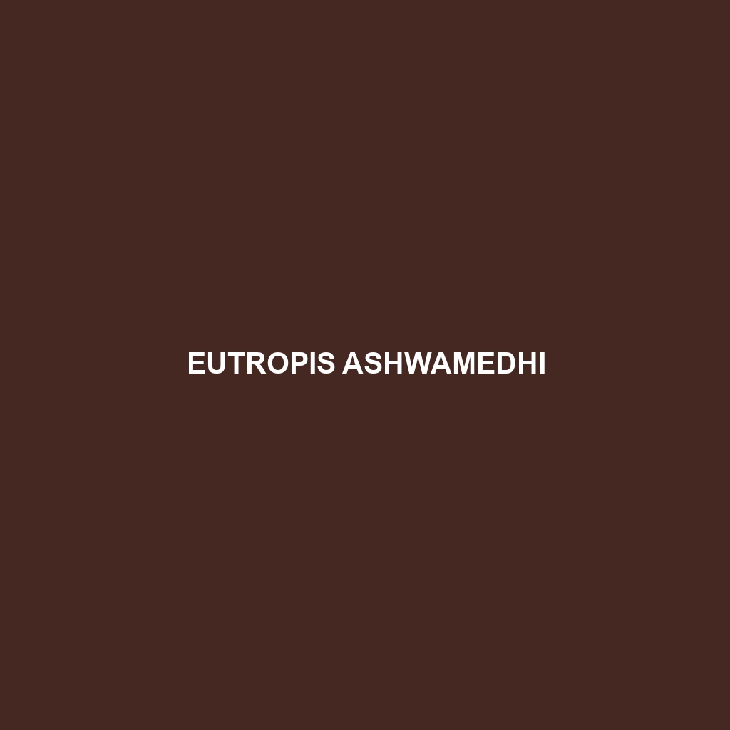 Eutropis ashwamedhi