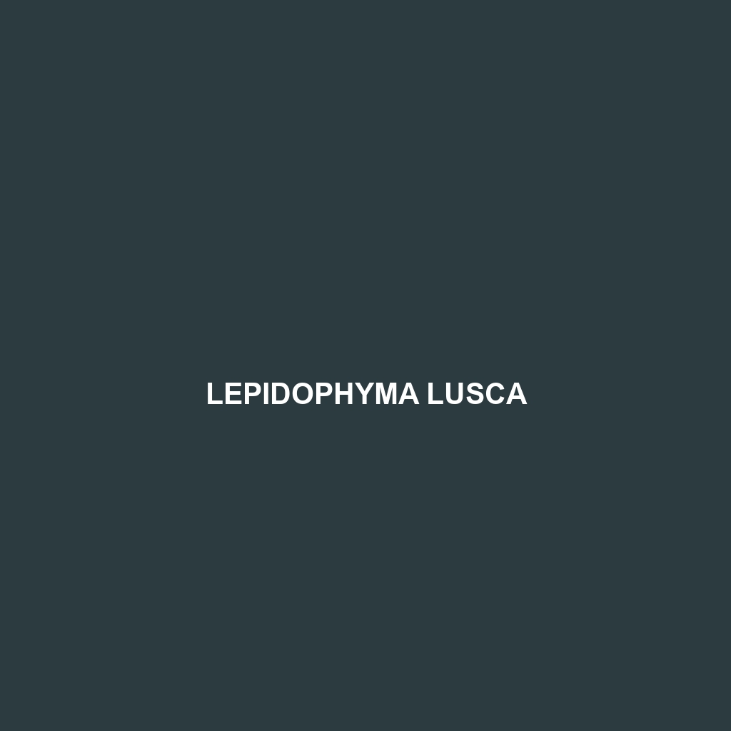 Lepidophyma lusca