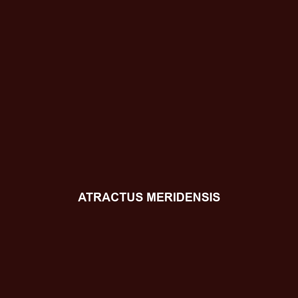 Atractus medusa