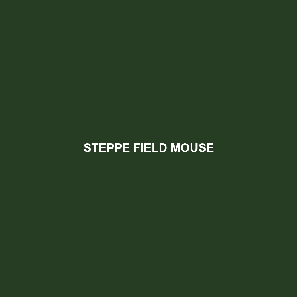 Steppe Field Mouse