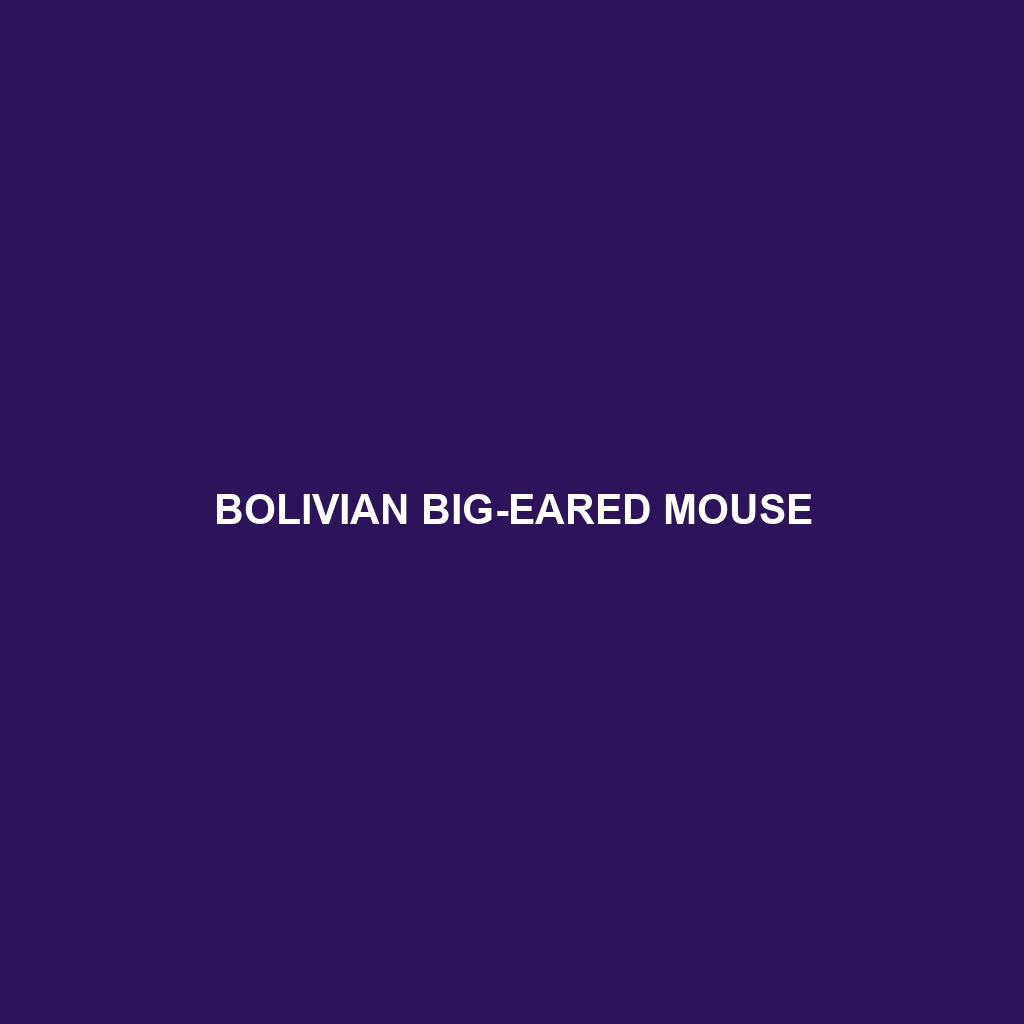 Bolivian Big-eared Mouse