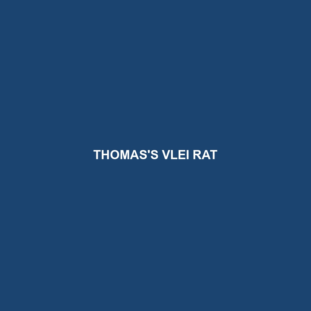 Thomas's Vlei Rat