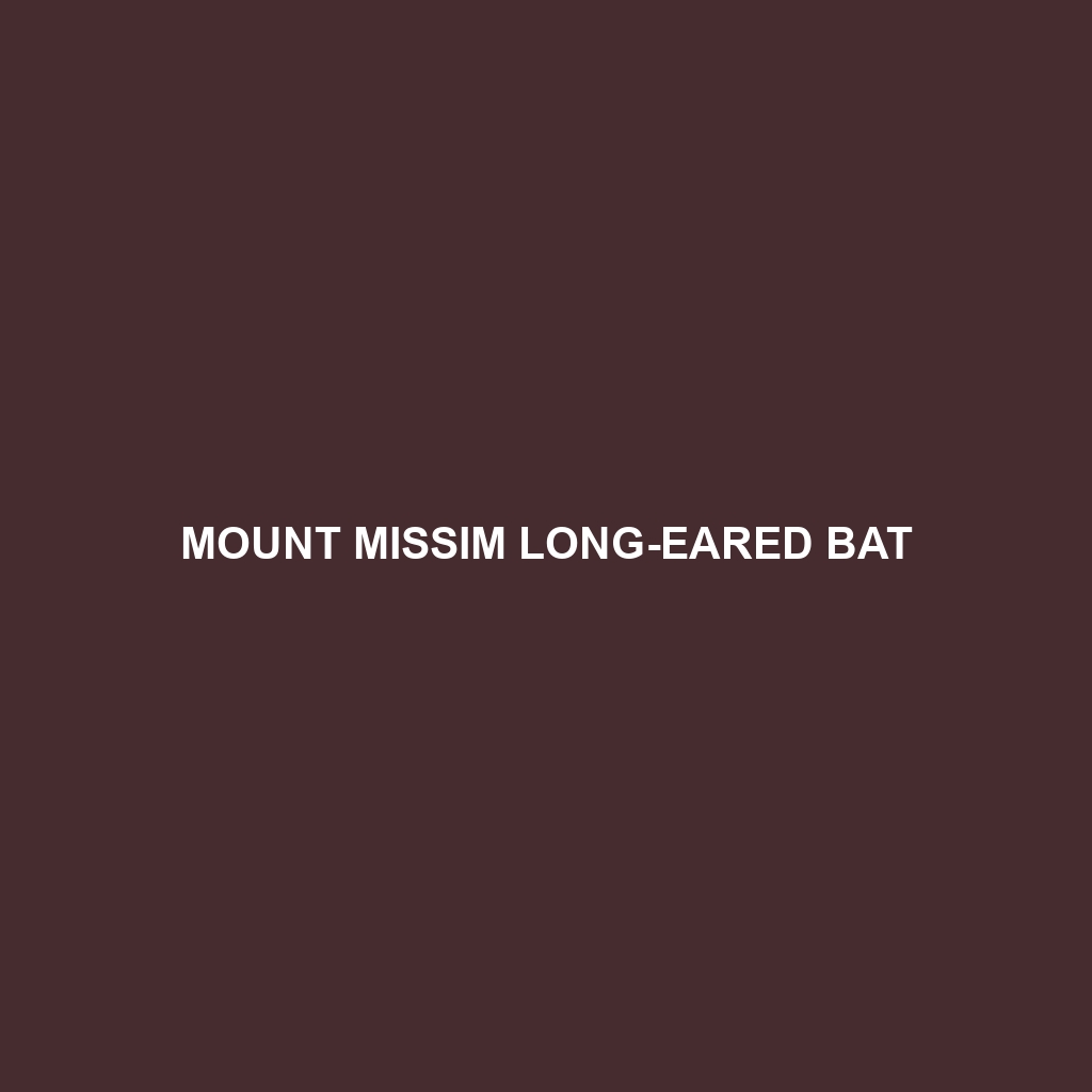 Mount Missim Long-eared Bat