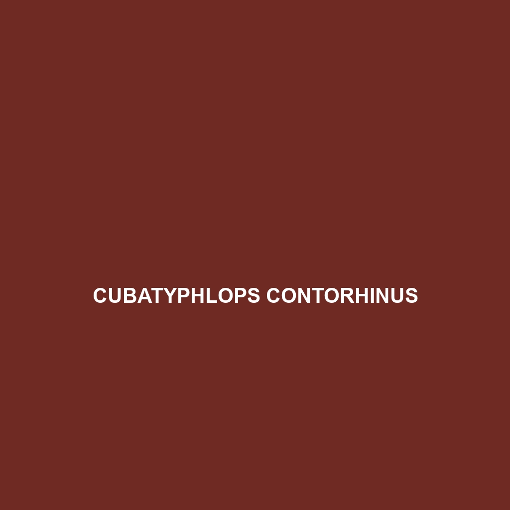 Cubatyphlops contorhinus