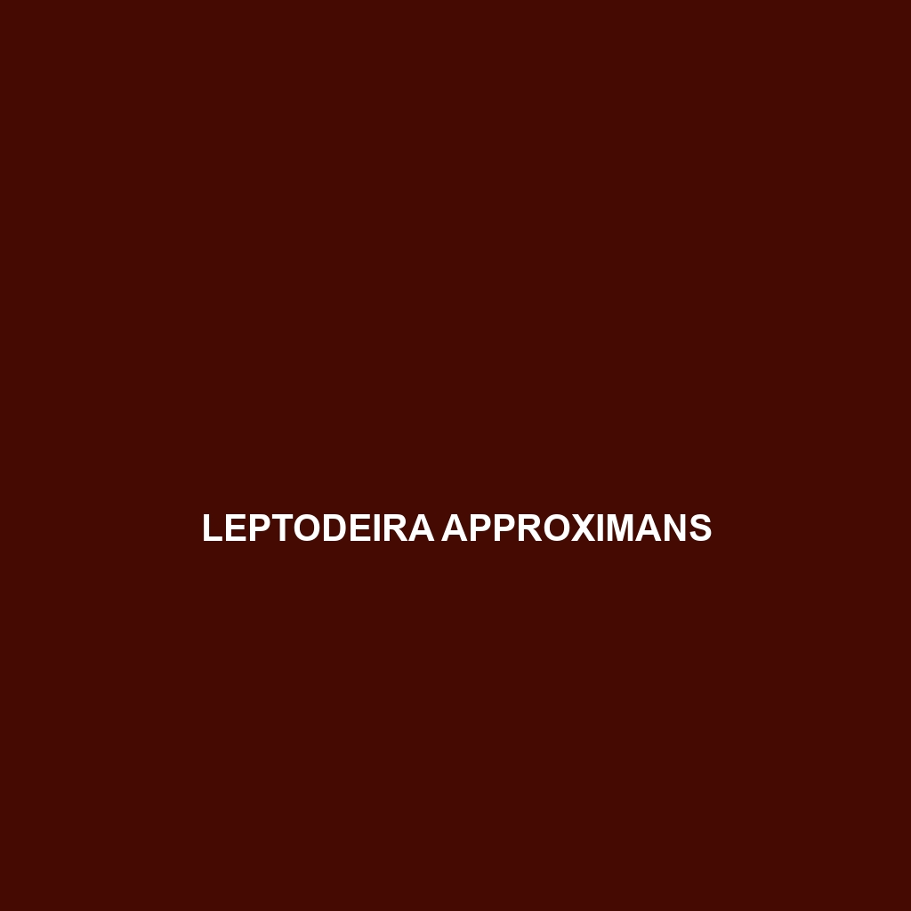 Leptodeira approximans