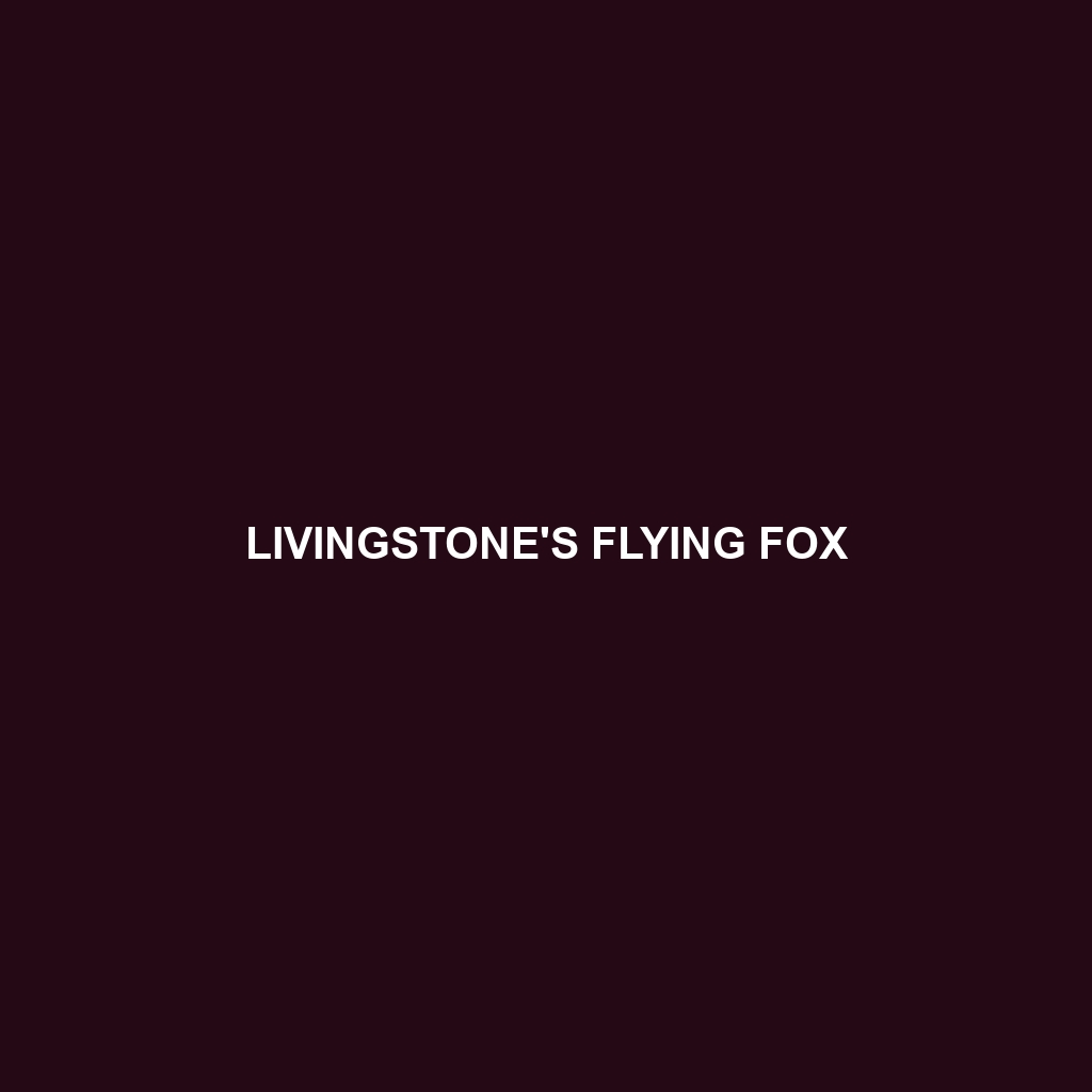 Livingstone's Flying Fox