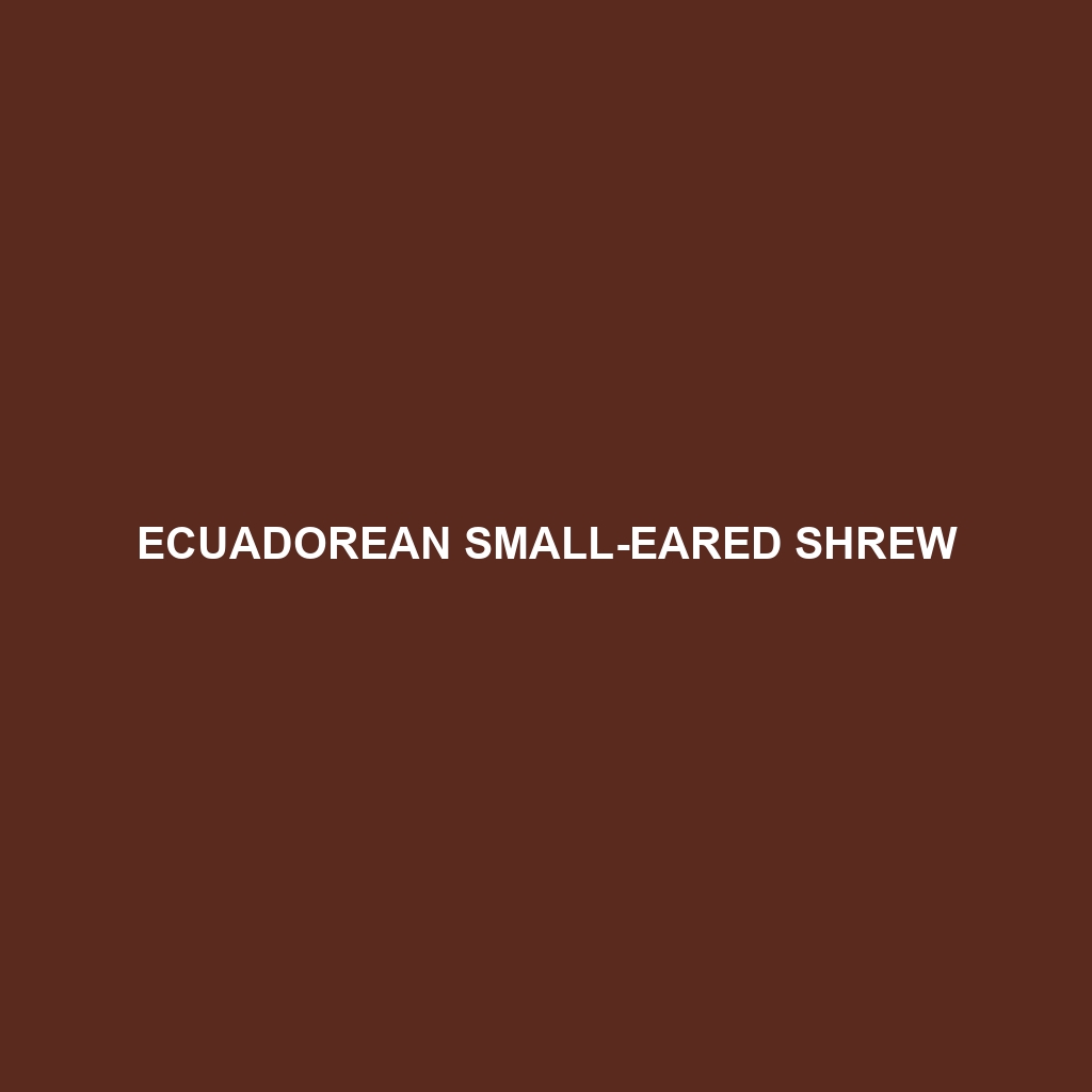 Ecuadorean Small-eared Shrew