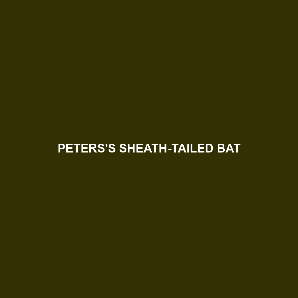 Peters's Sheath-tailed Bat