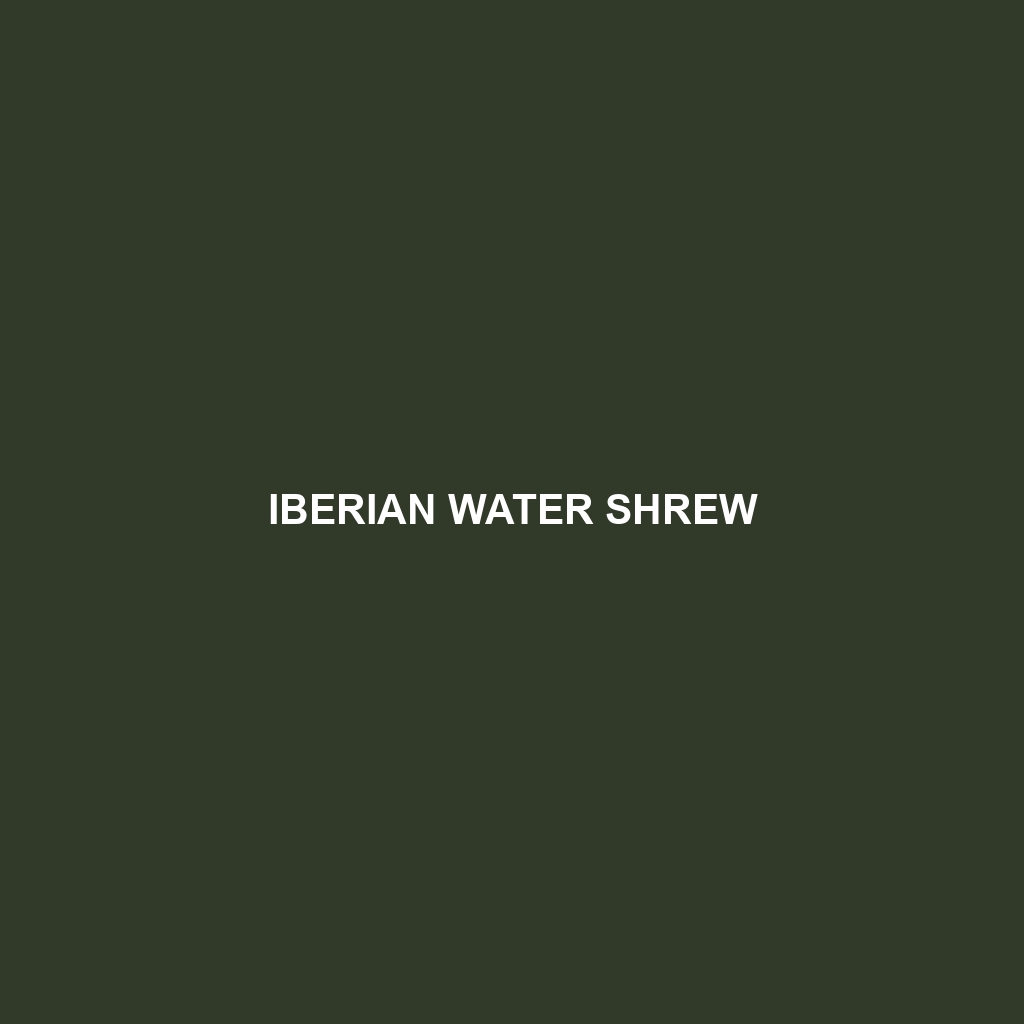 Iberian Water Shrew