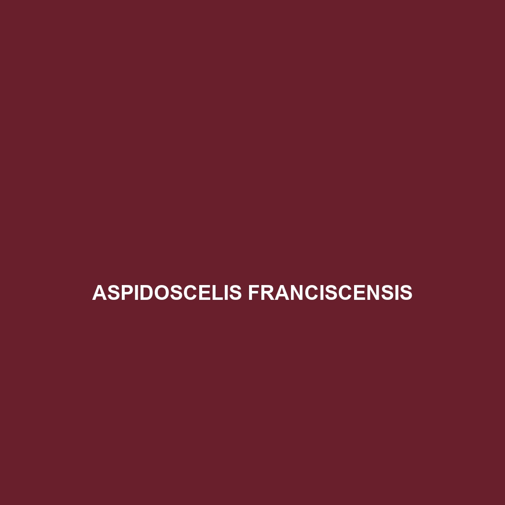 Aspidoscelis franciscensis