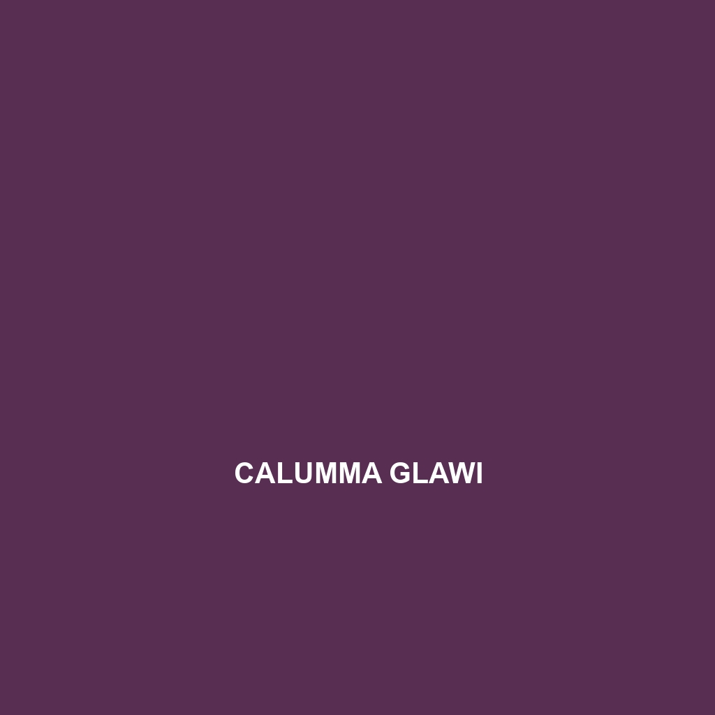 Calumma glawi