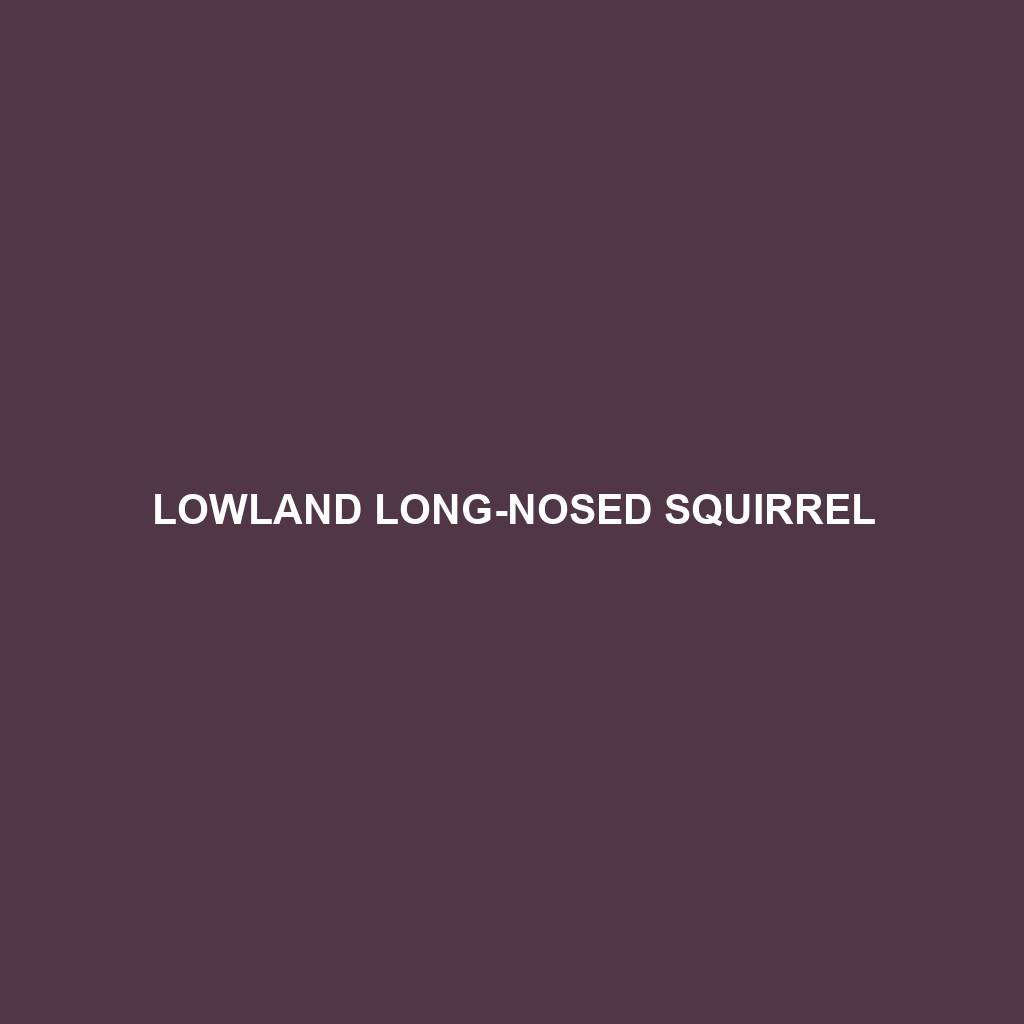 Lowland Long-nosed Squirrel