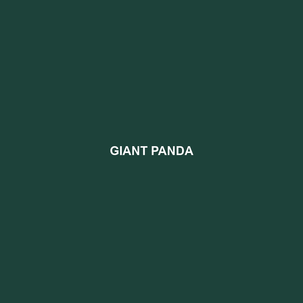 Giant Panda