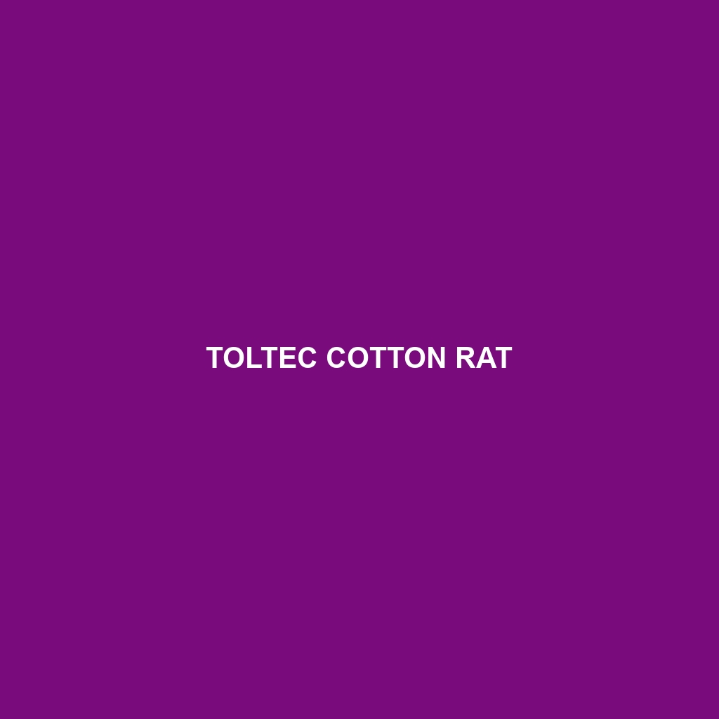 Toltec Cotton Rat