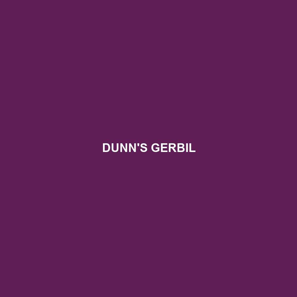 Dunn's Gerbil