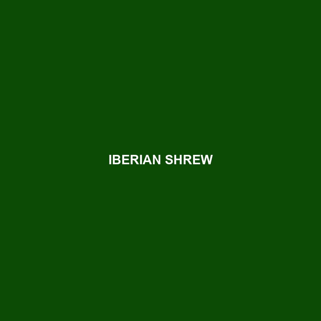 Iberian Shrew