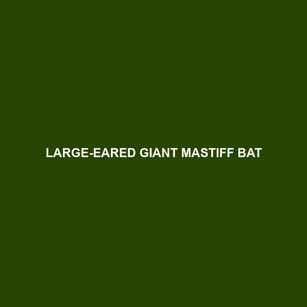 Large-eared Giant Mastiff Bat