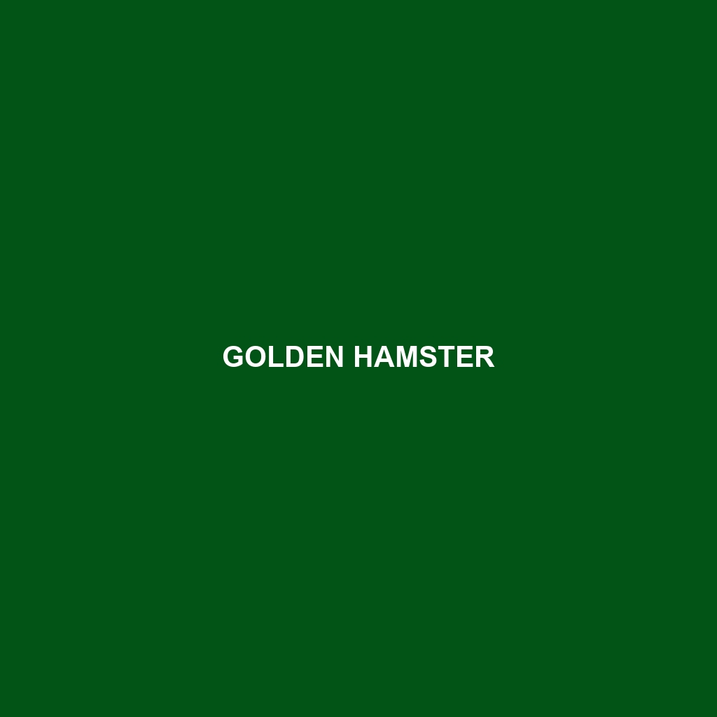 Golden Hamster