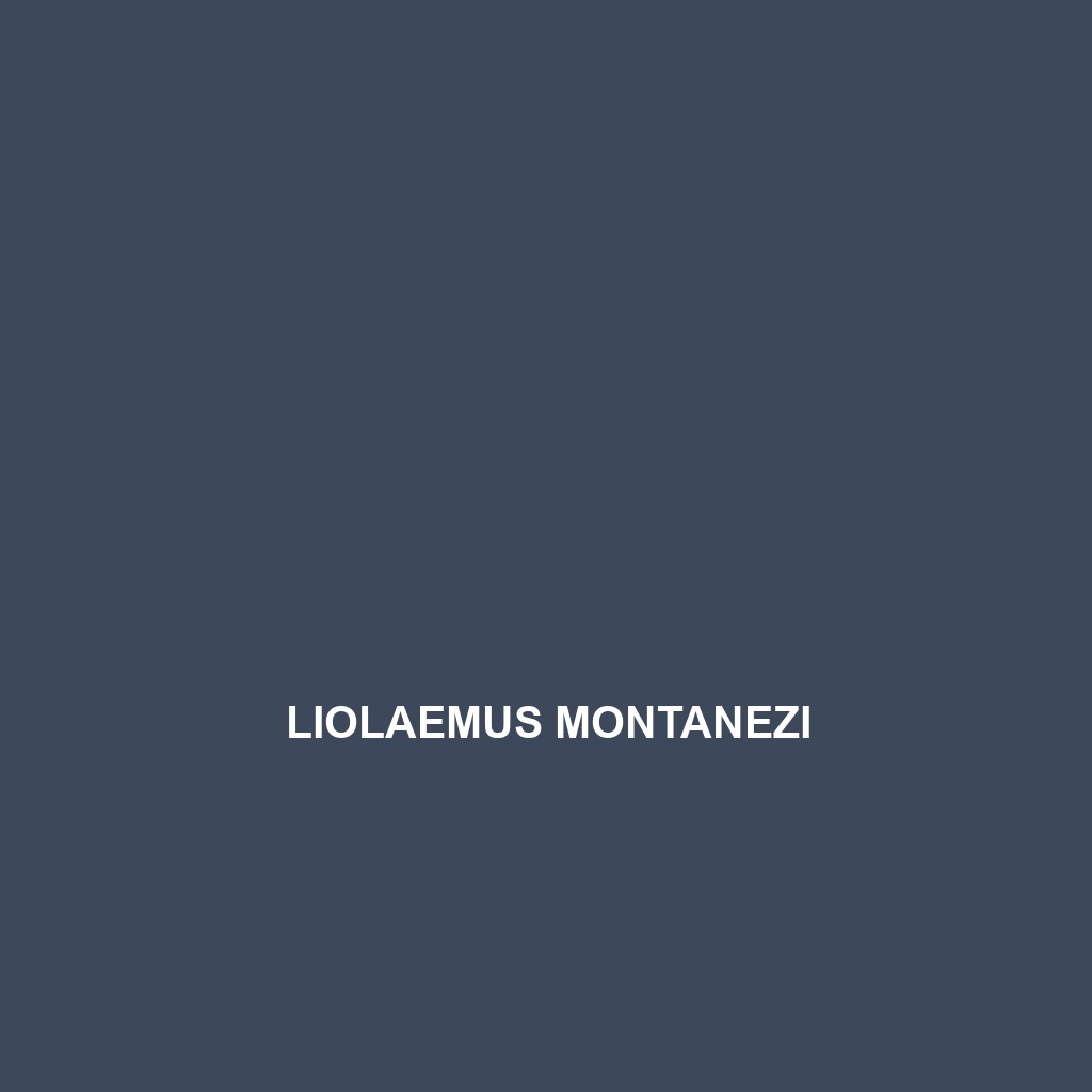 Liolaemus montanezi