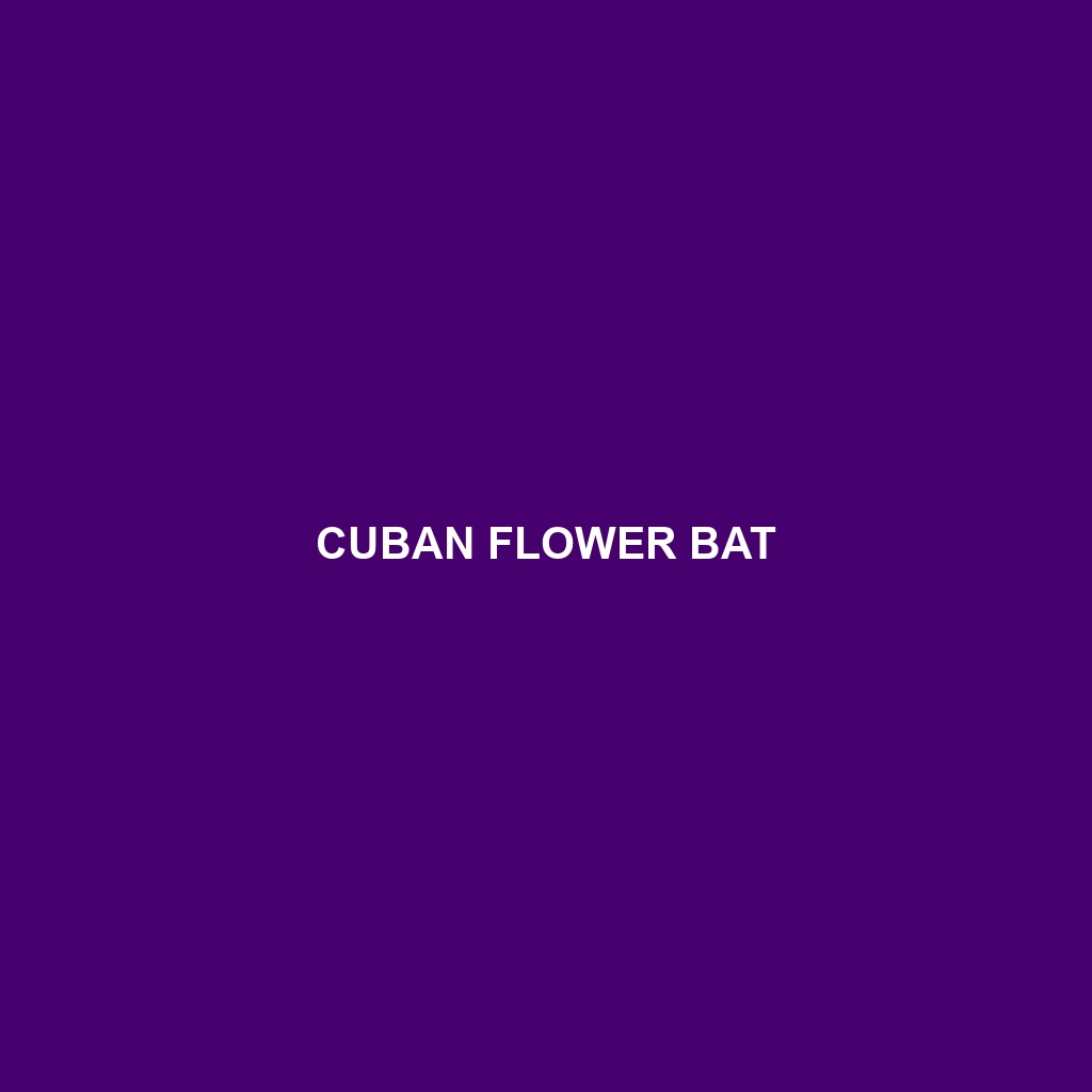 Cuban Flower Bat