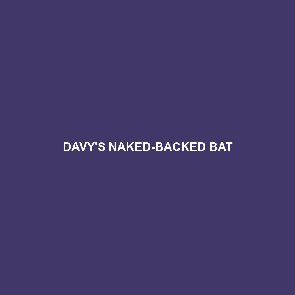 Davy's Naked-backed Bat