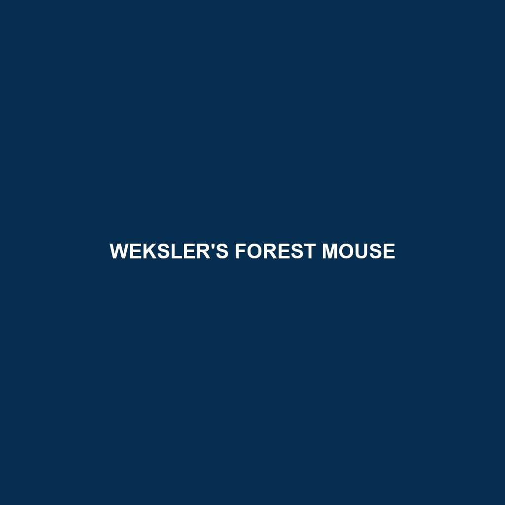 Weksler's Forest Mouse