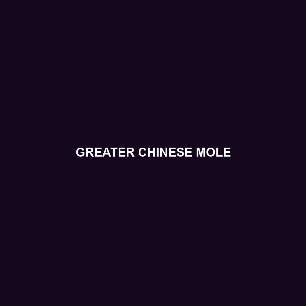 Greater Chinese Mole