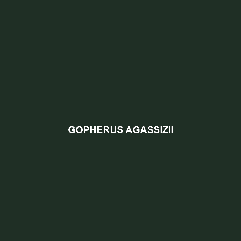 Gopherus agassizii