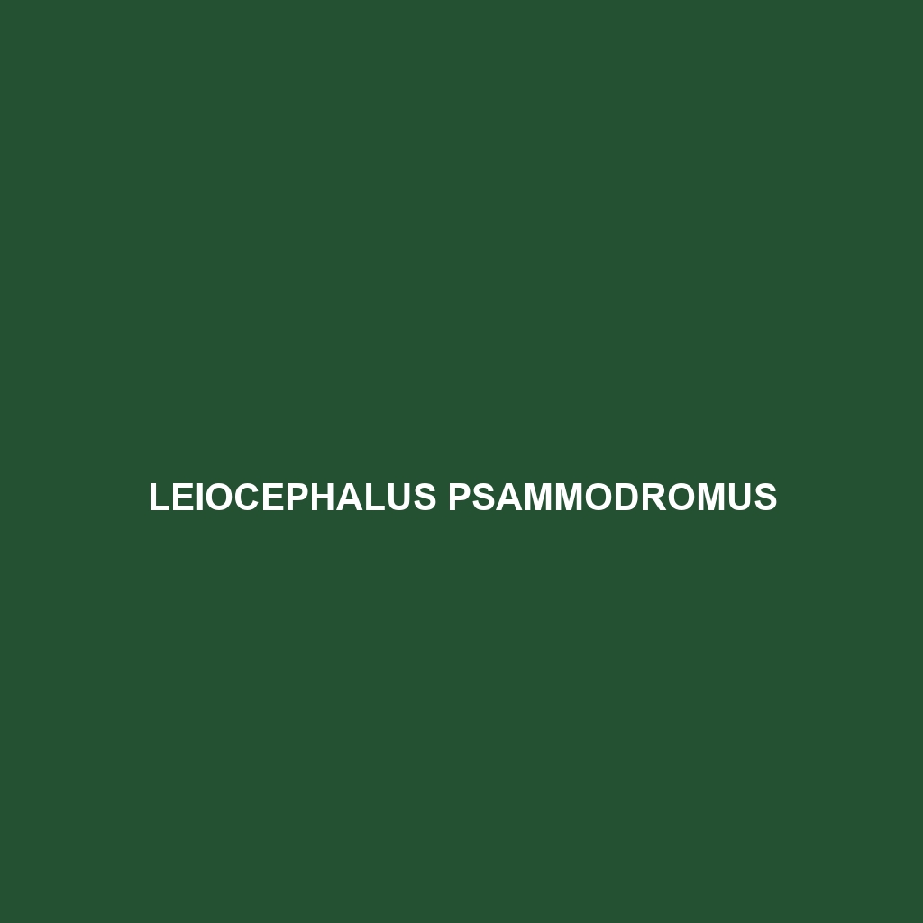 Leiocephalus psammodromus