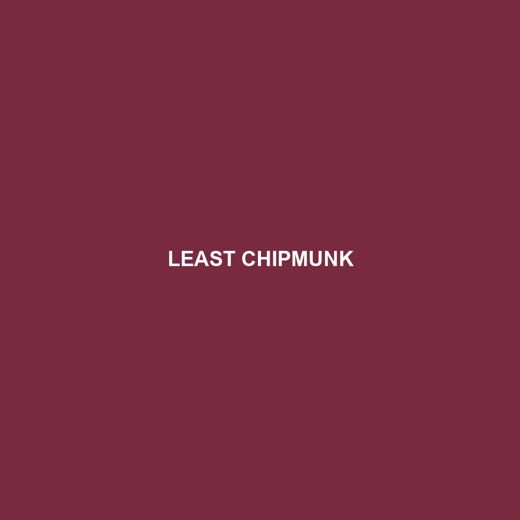 Least Chipmunk