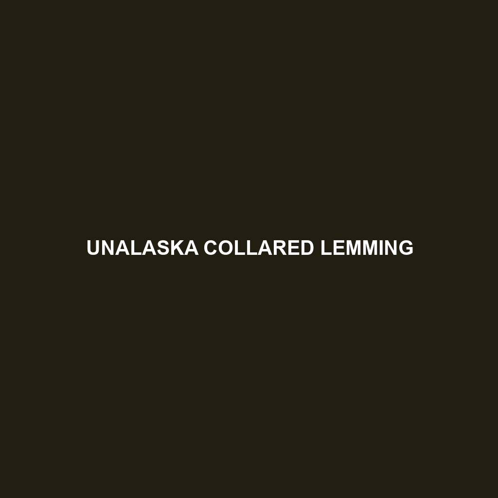 Unalaska Collared Lemming