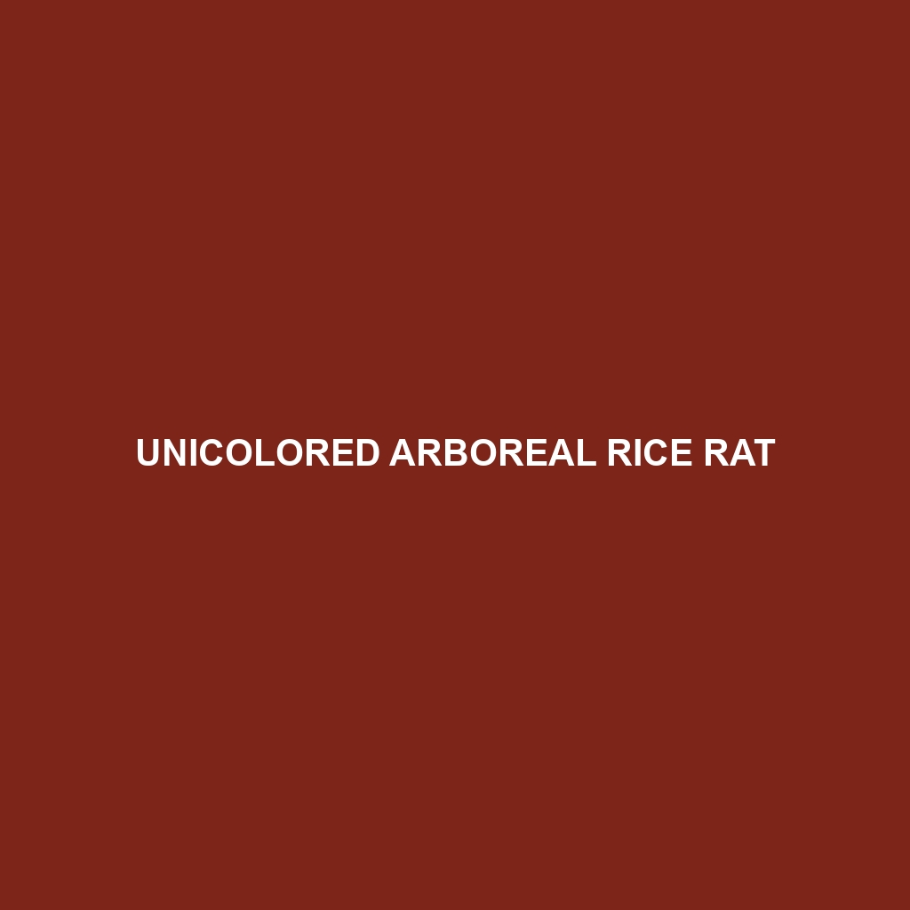 Unicolored Arboreal Rice Rat