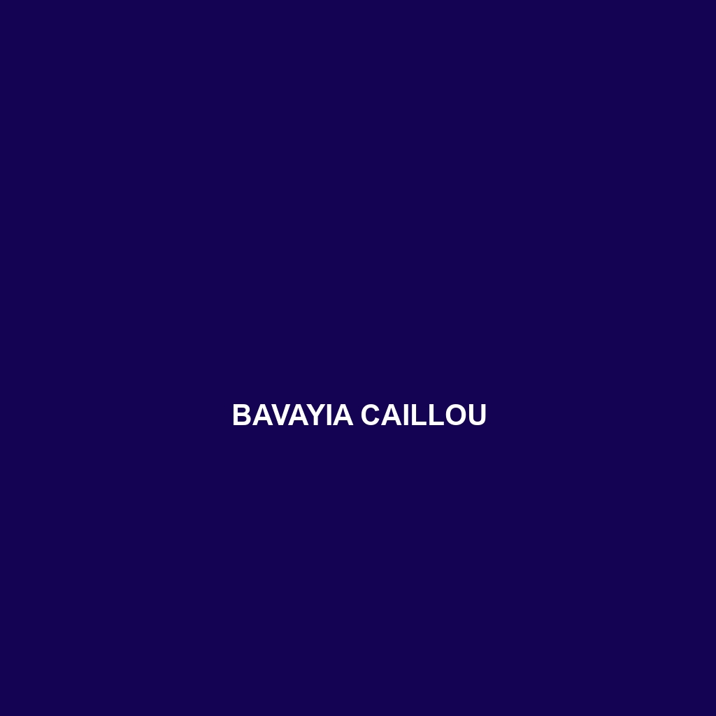 Bavayia caillou