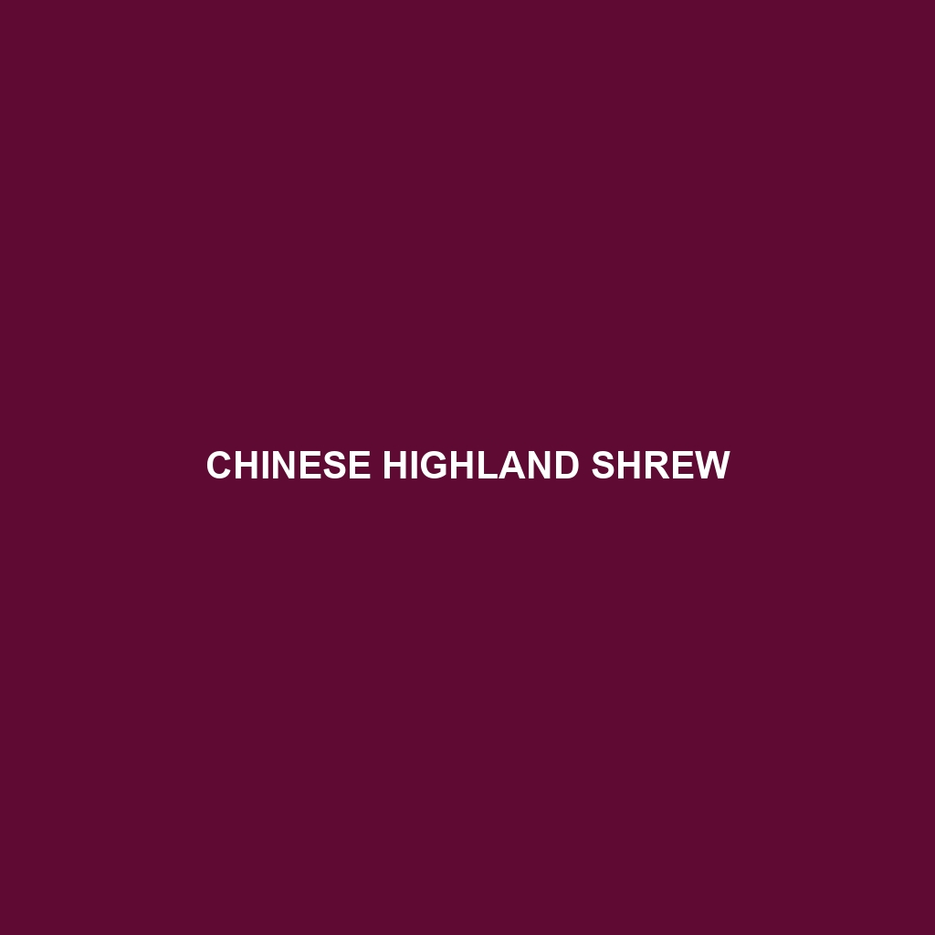 Chinese Highland Shrew