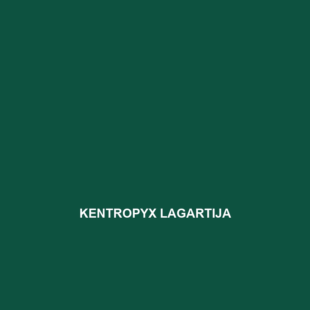 Kentropyx lagartija