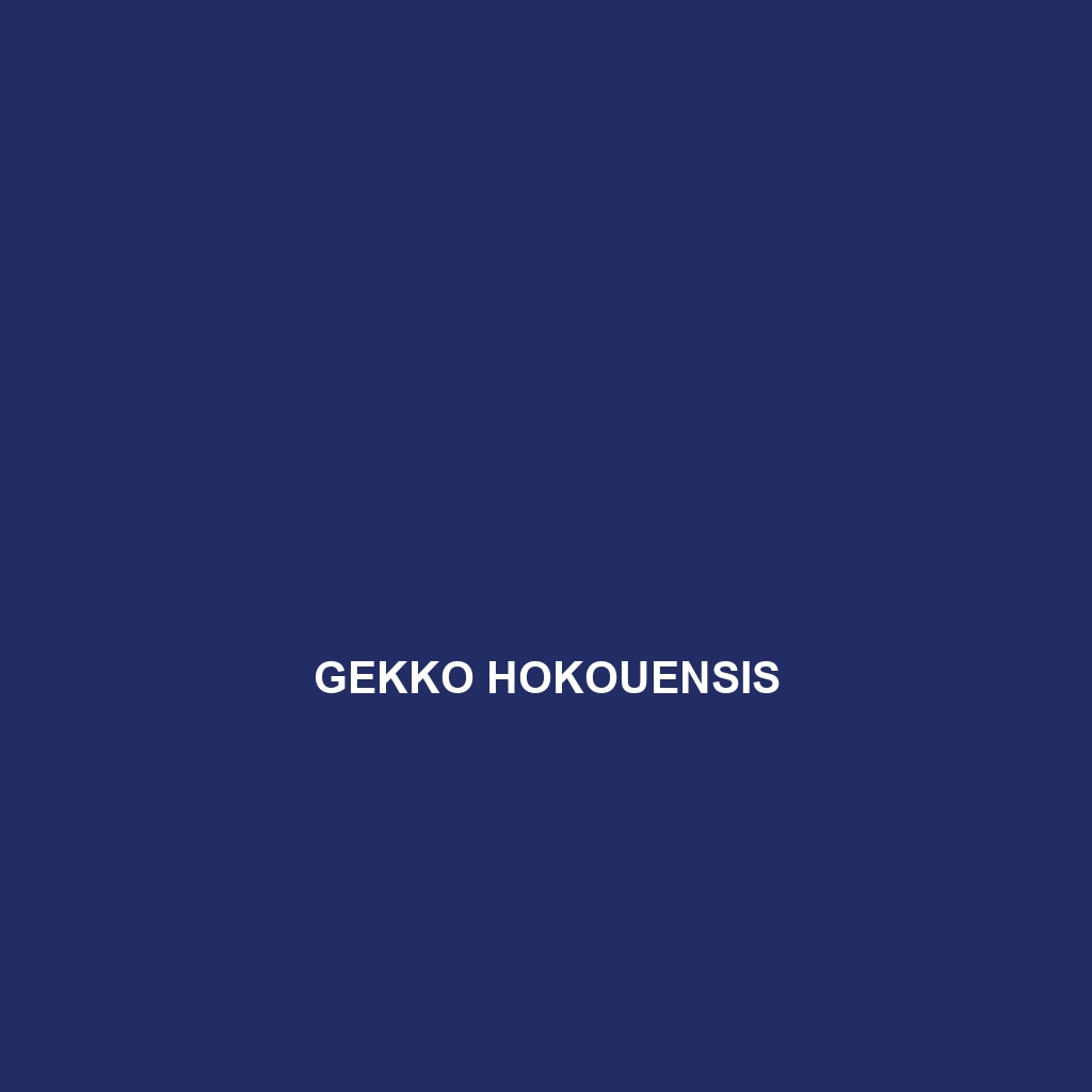 Gekko hokouensis