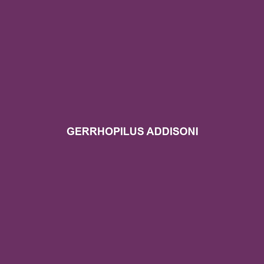 Gerrhopilus addisoni