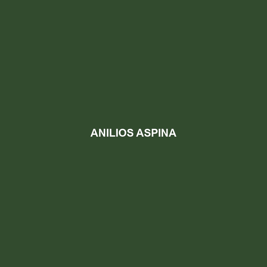 Anilios aspina