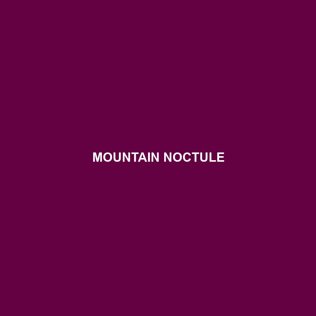 Mountain Noctule