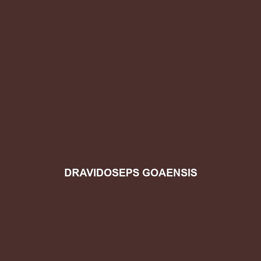 Dravidoseps gingeeensis