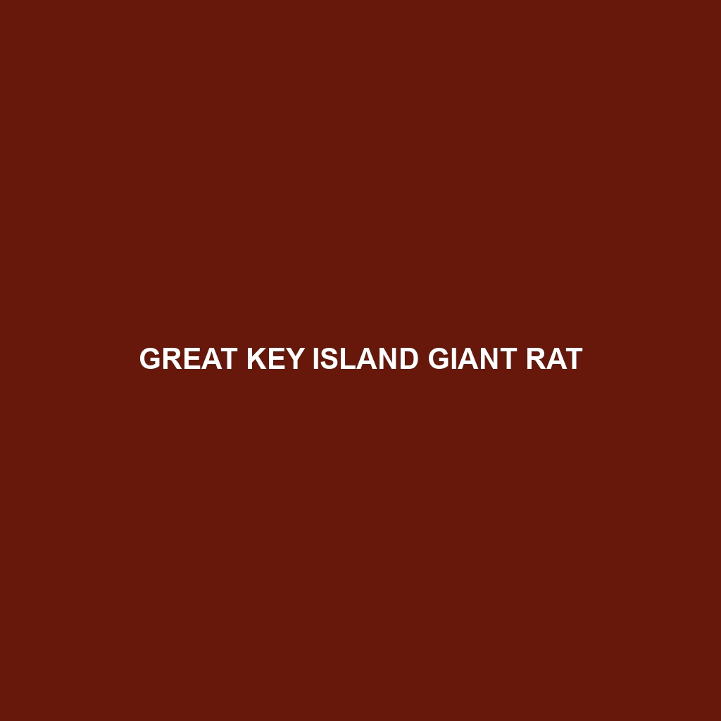 Great Key Island Giant Rat