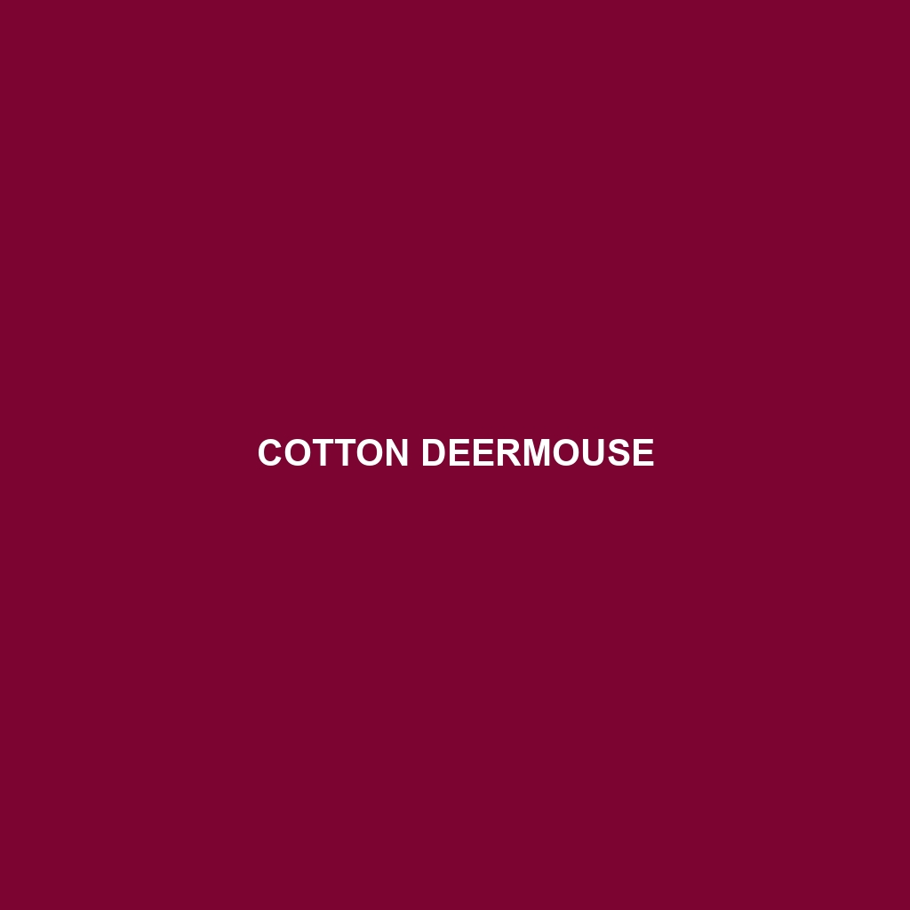 Cotton Deermouse