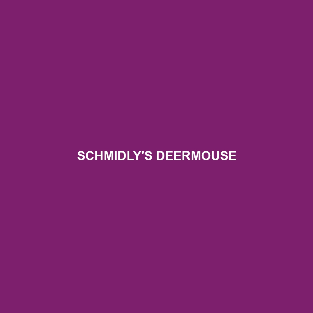 Schmidly's Deermouse