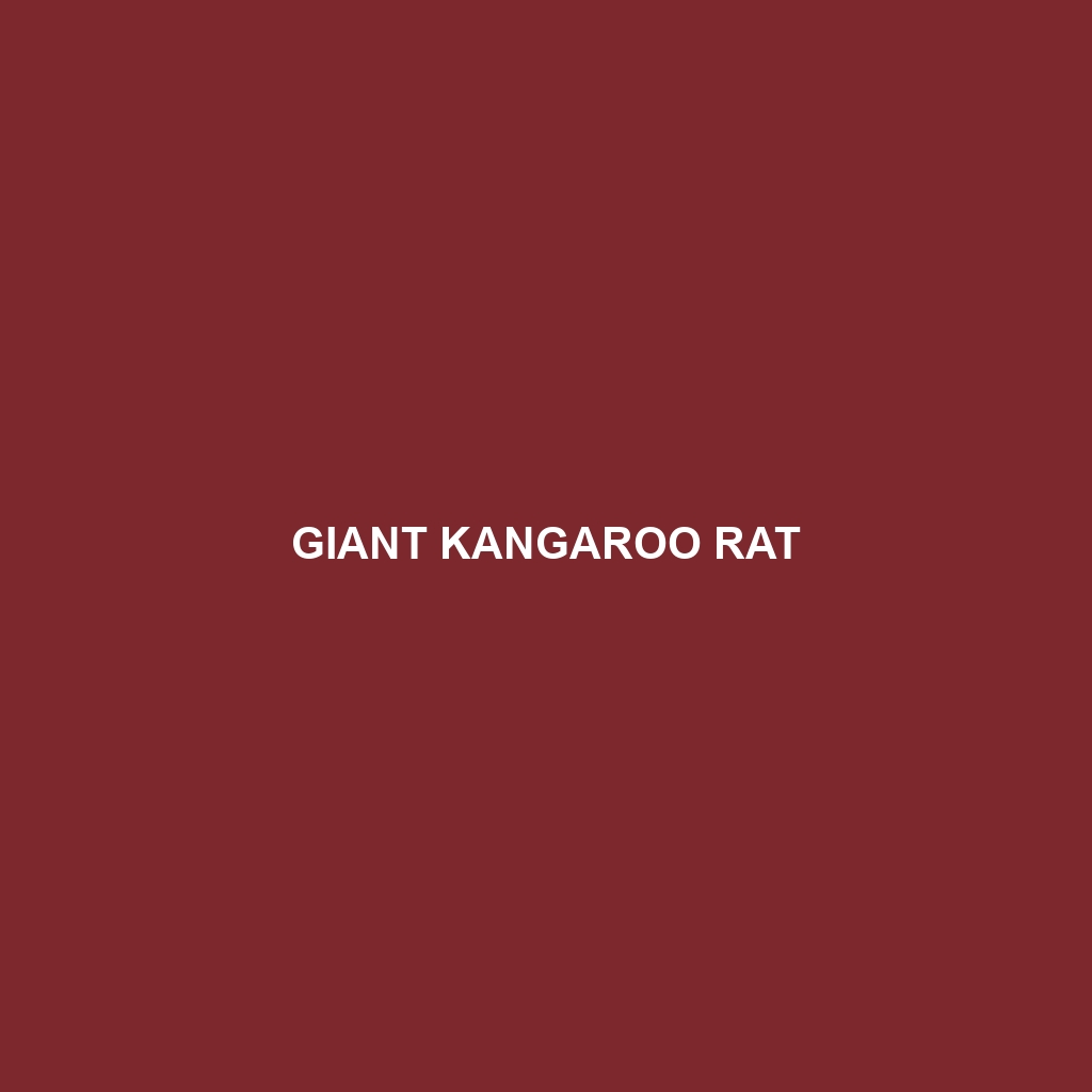 Giant Kangaroo Rat