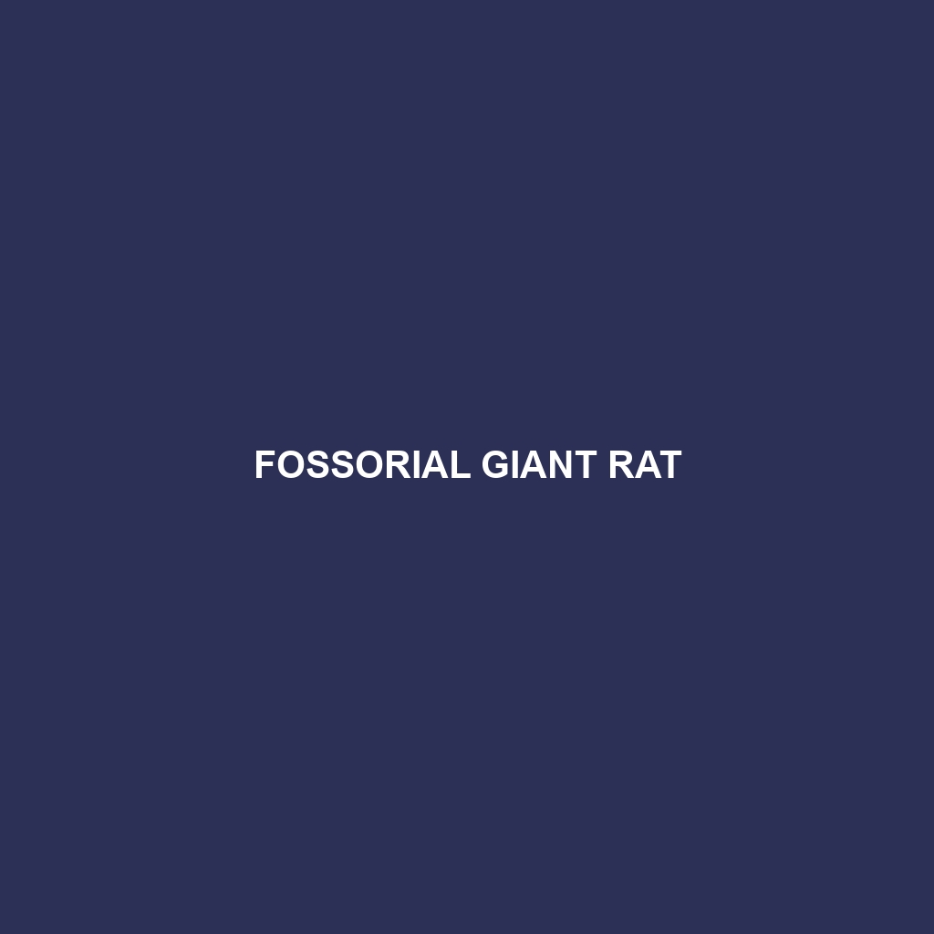 Cerrado Giant Rat