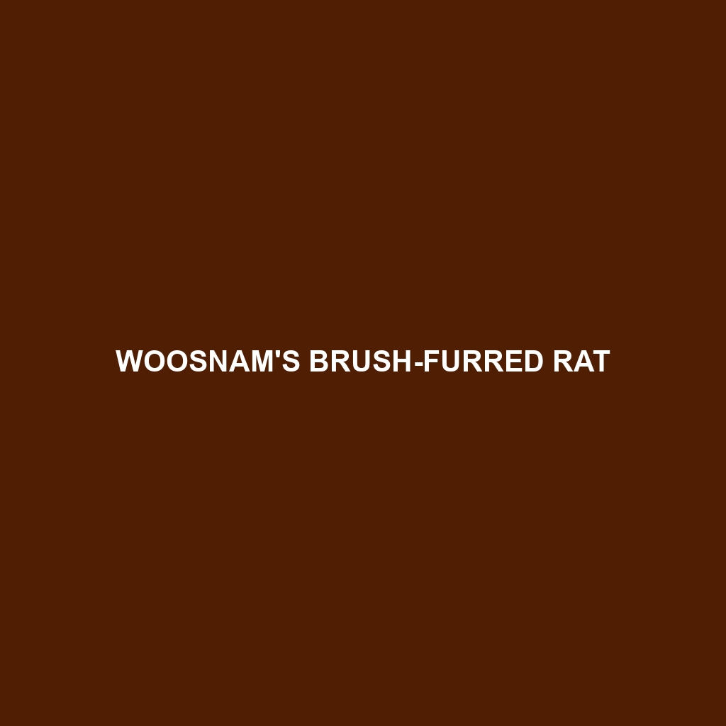 Woosnam's Brush-furred Rat